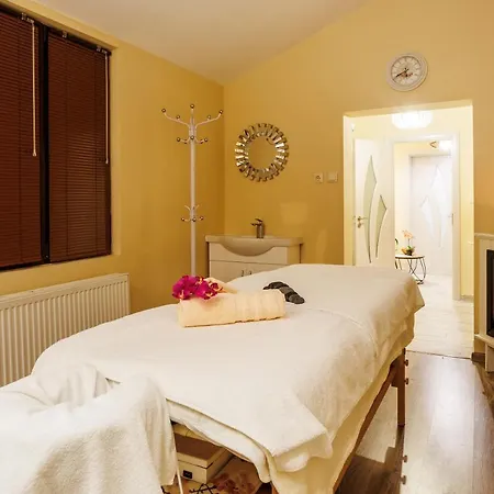 Hotel Aspa Banya (Blagoevgrad)