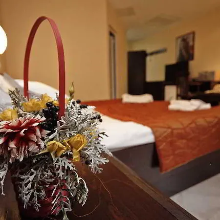 Hotel Aspa Banya (Blagoevgrad)